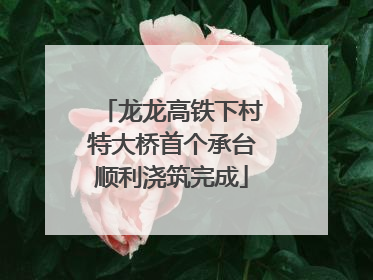 龙龙高铁下村特大桥首个承台顺利浇筑完成
