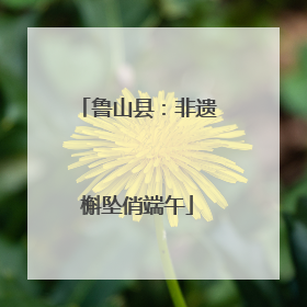 鲁山县：非遗槲坠俏端午