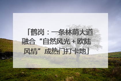 鹤岗：一条林荫大道融合“自然风光＋欧陆风情”成热门打卡地
