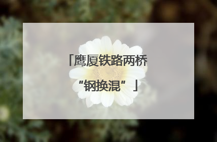 鹰厦铁路两桥“钢换混”
