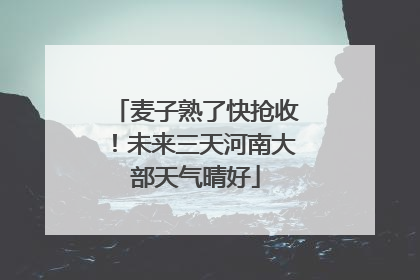 麦子熟了快抢收！未来三天河南大部天气晴好