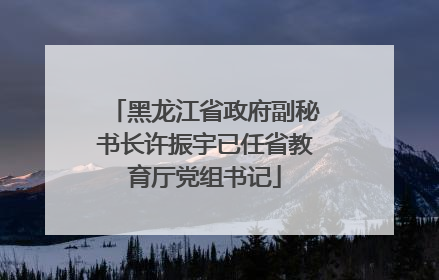 黑龙江省政府副秘书长许振宇已任省教育厅党组书记