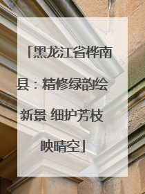 黑龙江省桦南县：精修绿韵绘新景 细护芳枝映晴空