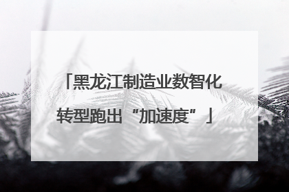 黑龙江制造业数智化转型跑出“加速度”