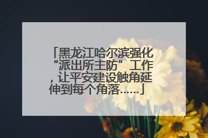 黑龙江哈尔滨强化“派出所主防”工作，让平安建设触角延伸到每个角落……