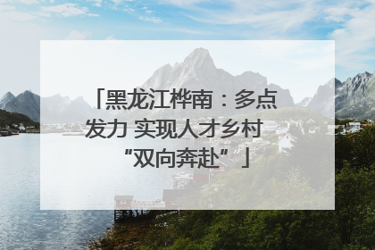 黑龙江桦南：多点发力 实现人才乡村“双向奔赴”