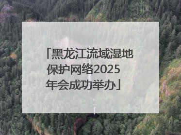 黑龙江流域湿地保护网络2025年会成功举办