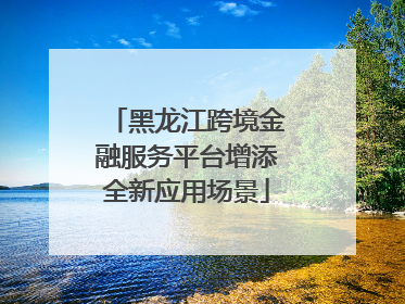 黑龙江跨境金融服务平台增添全新应用场景