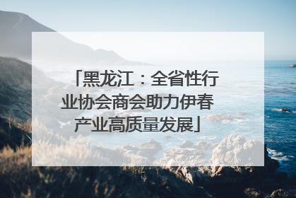 黑龙江：全省性行业协会商会助力伊春产业高质量发展