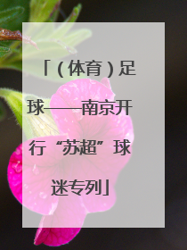 （体育）足球——南京开行“苏超”球迷专列