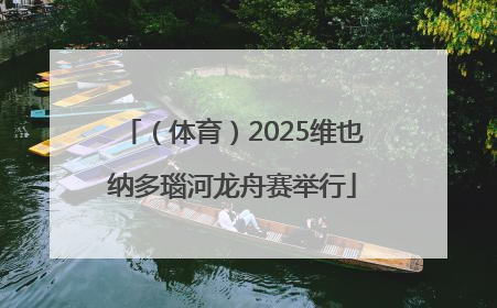 （体育）2025维也纳多瑙河龙舟赛举行