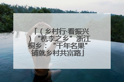 （乡村行·看振兴）“槜李之乡”浙江桐乡：“千年名果”铺就乡村共富路