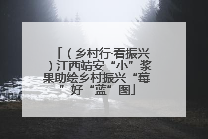 （乡村行·看振兴）江西靖安“小”浆果助绘乡村振兴“莓”好“蓝”图