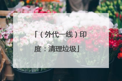 （外代一线）印度：清理垃圾