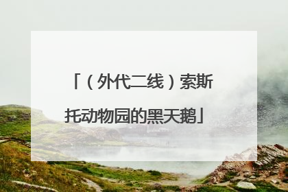 （外代二线）索斯托动物园的黑天鹅
