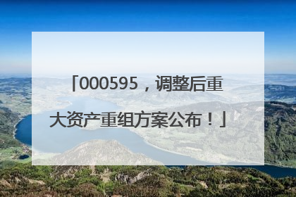 000595，调整后重大资产重组方案公布！