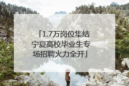 1.7万岗位集结 宁夏高校毕业生专场招聘火力全开