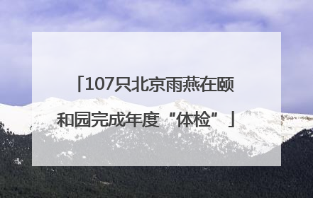 107只北京雨燕在颐和园完成年度“体检”