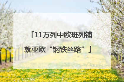 11万列中欧班列铺就亚欧“钢铁丝路”