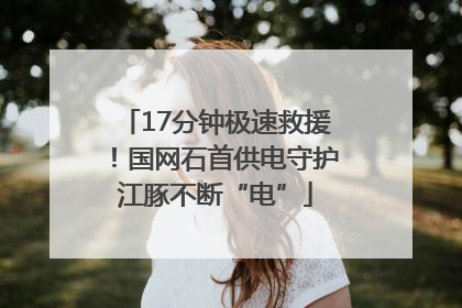 17分钟极速救援！国网石首供电守护江豚不断“电”