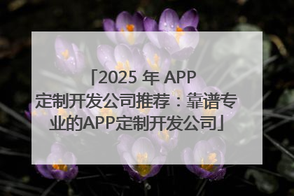 2025 年 APP 定制开发公司推荐：靠谱专业的APP定制开发公司