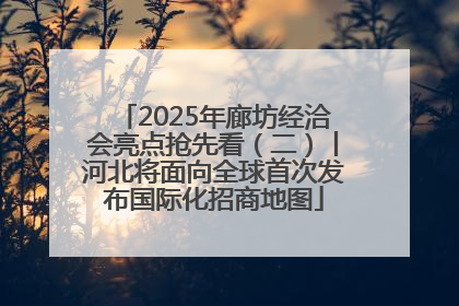 2025年廊坊经洽会亮点抢先看（二）丨河北将面向全球首次发布国际化招商地图