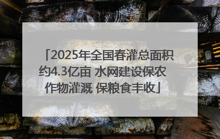 2025年全国春灌总面积约4.3亿亩 水网建设保农作物灌溉 保粮食丰收