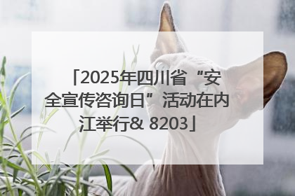 2025年四川省“安全宣传咨询日”活动在内江举行& 8203