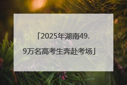 2025年湖南49.9万名高考生奔赴考场