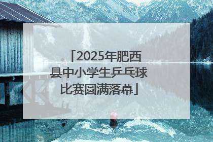 2025年肥西县中小学生乒乓球比赛圆满落幕