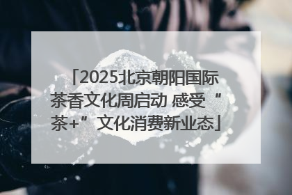 2025北京朝阳国际茶香文化周启动 感受“茶+”文化消费新业态