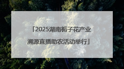 2025湖南栀子花产业溯源直播助农活动举行
