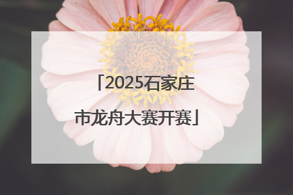 2025石家庄市龙舟大赛开赛