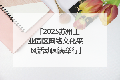2025苏州工业园区网络文化采风活动圆满举行