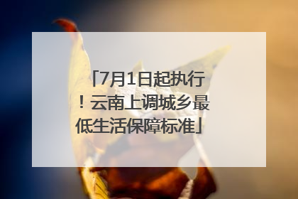 7月1日起执行！云南上调城乡最低生活保障标准
