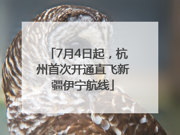 7月4日起，杭州首次开通直飞新疆伊宁航线