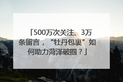 500万次关注、3万条留言,“牡丹包裹”如何助力菏泽破圈?