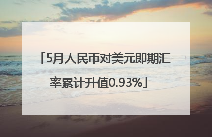 5月人民币对美元即期汇率累计升值0.93%