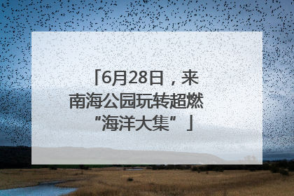 6月28日，来南海公园玩转超燃 “海洋大集”