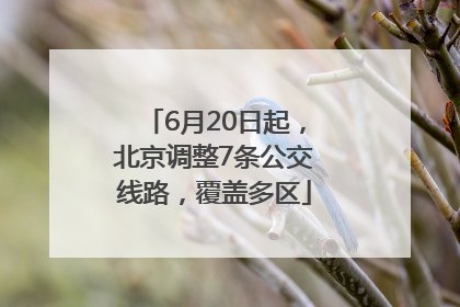 6月20日起，北京调整7条公交线路，覆盖多区