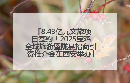 8.43亿元文旅项目签约！2025宝鸡全域旅游暨陇县招商引资推介会在西安举办