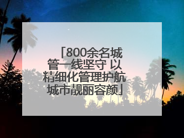 800余名城管一线坚守 以精细化管理护航城市靓丽容颜