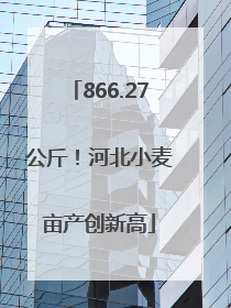 866.27公斤！河北小麦亩产创新高