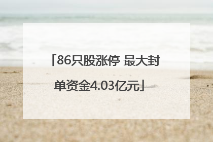 86只股涨停 最大封单资金4.03亿元