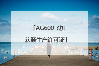 AG600飞机获颁生产许可证