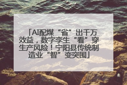 AI配煤“省”出千万效益，数字孪生“看”穿生产风险！宁阳县传统制造业“智”变突围