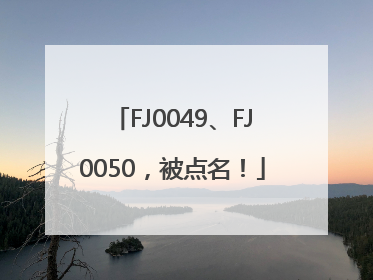 FJ0049、FJ0050，被点名！