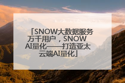 SNOW大数据服务万千用户，SNOW AI量化——打造亚太云端AI量化