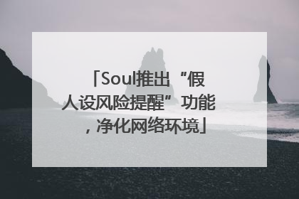 Soul推出“假人设风险提醒”功能，净化网络环境